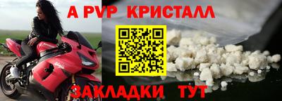 прущие грибы Пушкино