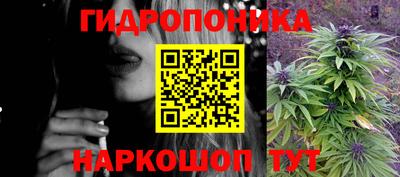 прущие грибы Пушкино