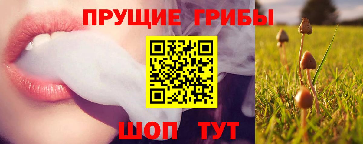 Псилоцибиновые грибы мицелий Подольск